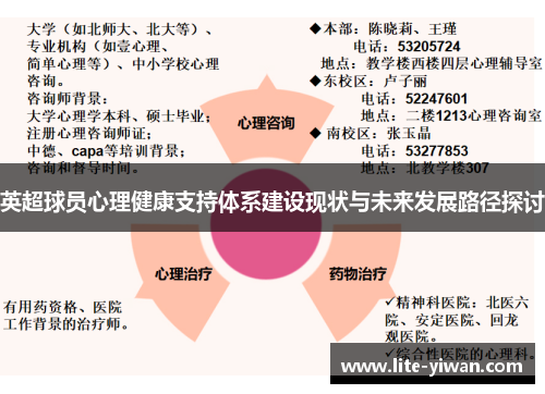 英超球员心理健康支持体系建设现状与未来发展路径探讨